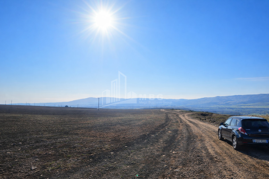 For Sale Land Kumisi Gardabani Kvemo Kartli