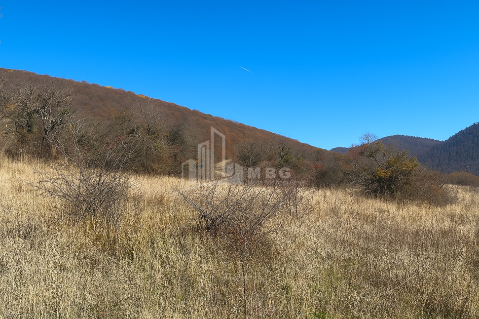 იყიდება მიწის ნაკვეთი ახალსოფელი თიანეთი მცხეთა   მთიანეთი