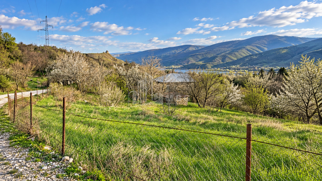 For Sale Country Land In Tsitsamuri, Mtskheta
