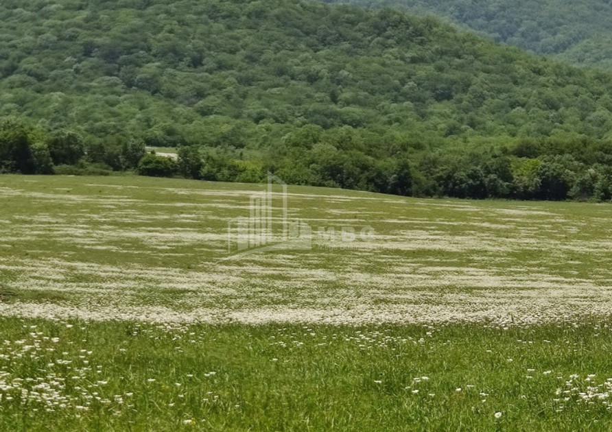 იყიდება მიწის ნაკვეთი გომბორი საგარეჯო კახეთი