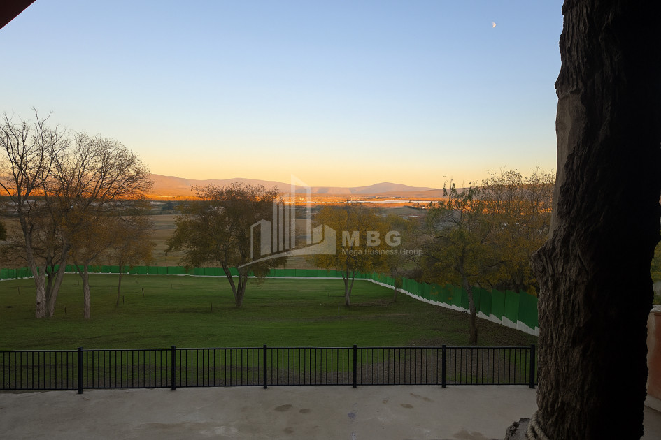 For Sale Commercial Bazaleti Dusheti Mtskheta   Mtianeti