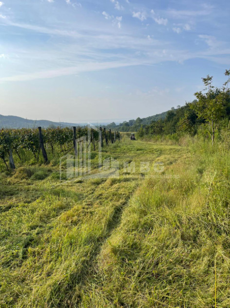 For Sale Land Mtisdziri Kvareli Kakheti