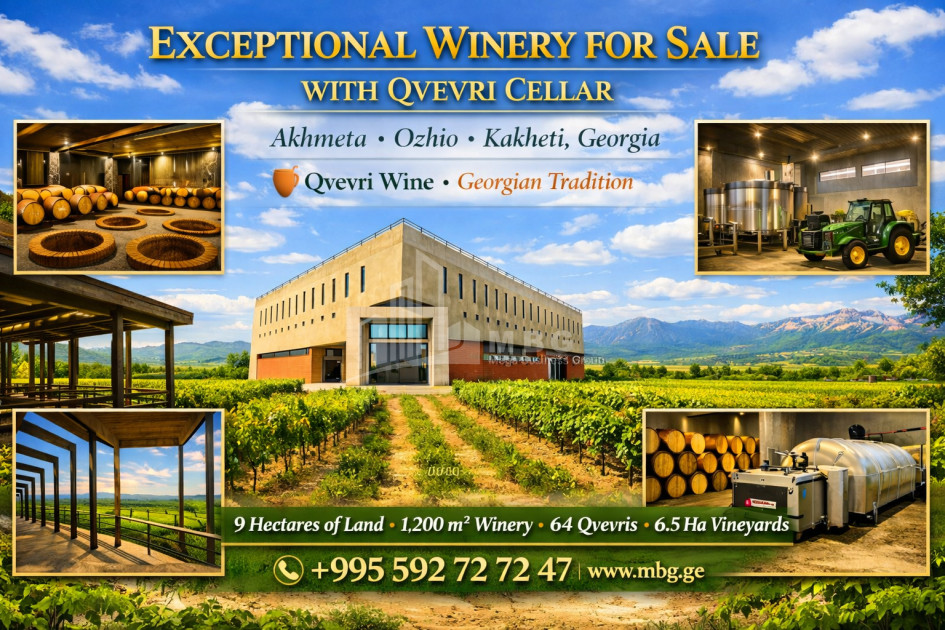 იყიდება შატო / ღვინის ქარხანა / მარანი კომერციული ფართი ოჟიოში, ახმეტა