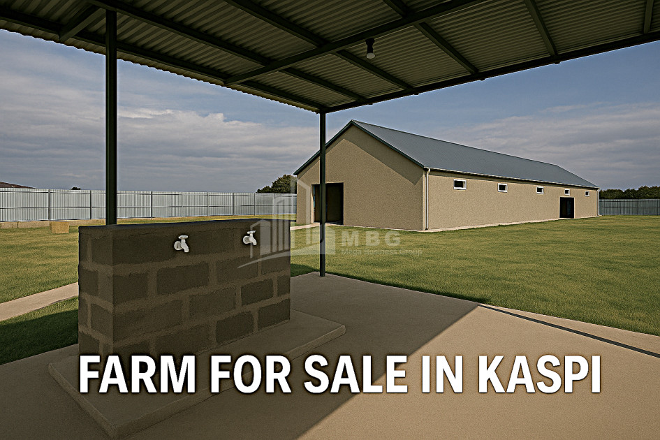 For Sale Commercial Gomi Kaspi Shida Kartli