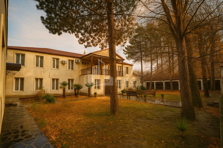 For Sale Commercial Akhmeta Kakheti