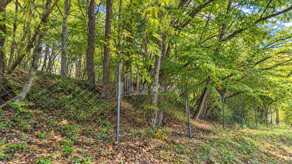 For Sale Country Land In Birtvisi Gorge, Tetritskaro