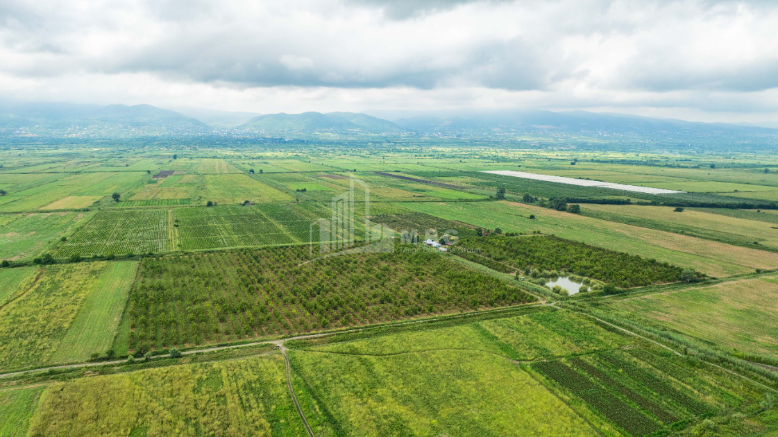 For Sale Land Kakheti