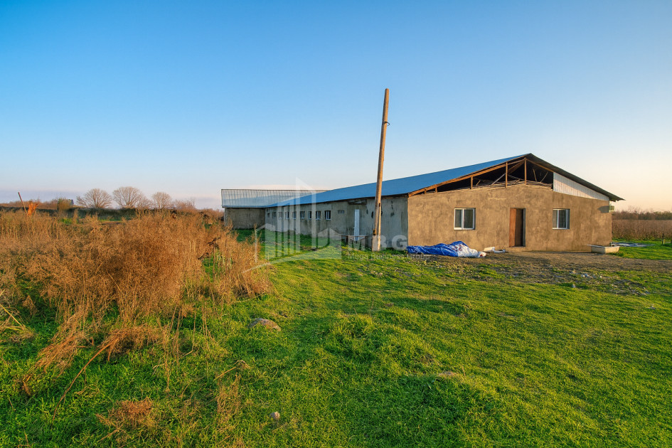 Продается Земля Зинобиани Кварели Кахети