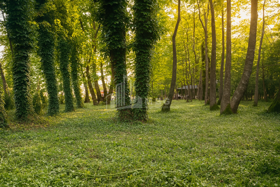 იყიდება ბიზნესი კომერციული ფართი თელავი კახეთი