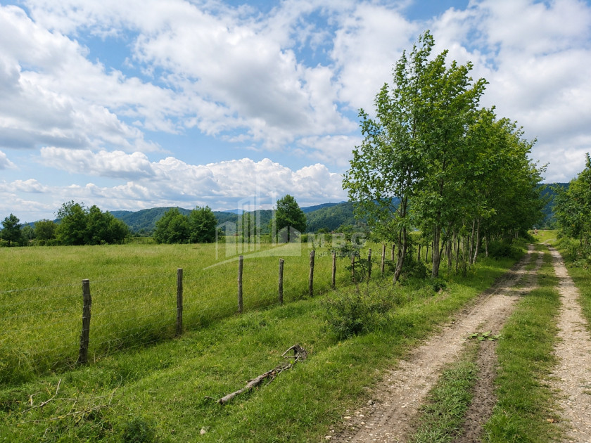 For Sale Orchards Land In Abasha