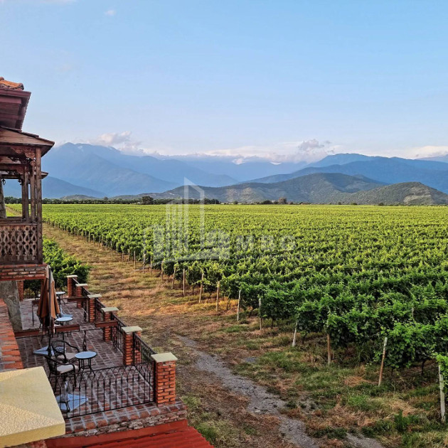 For Sale Commercial Kvareli City Kvareli Kakheti