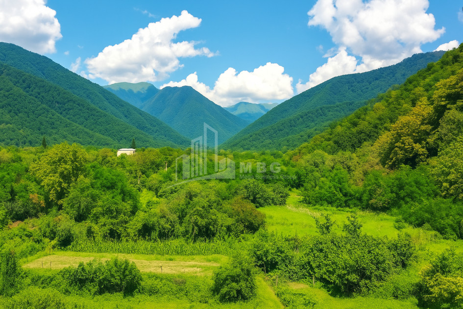 For Sale Commercial Kvareli Kakheti