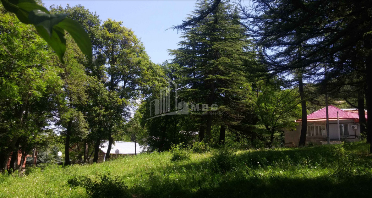 Продается Дом - Вилла, в Цхнети