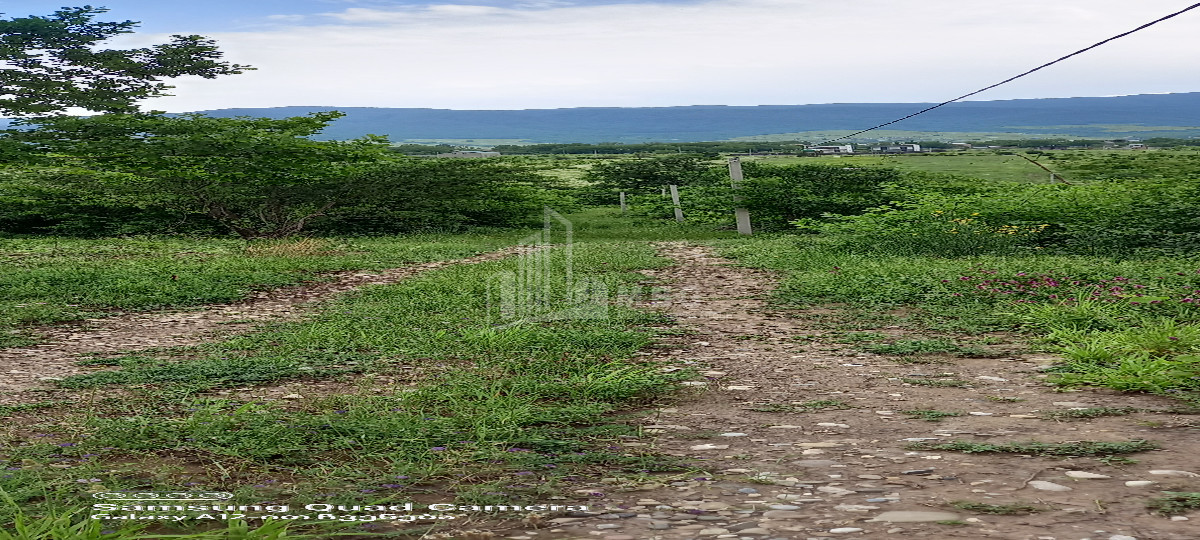 იყიდება მიწის ნაკვეთი წინამძღვრიანთკარი მცხეთის მუნიციპალიტეტი მცხეთა   მთიანეთი