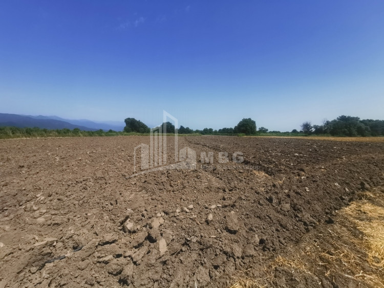 For Sale Land, Sanavardo, Kvareli Municipality, Municipalities of Kakheti