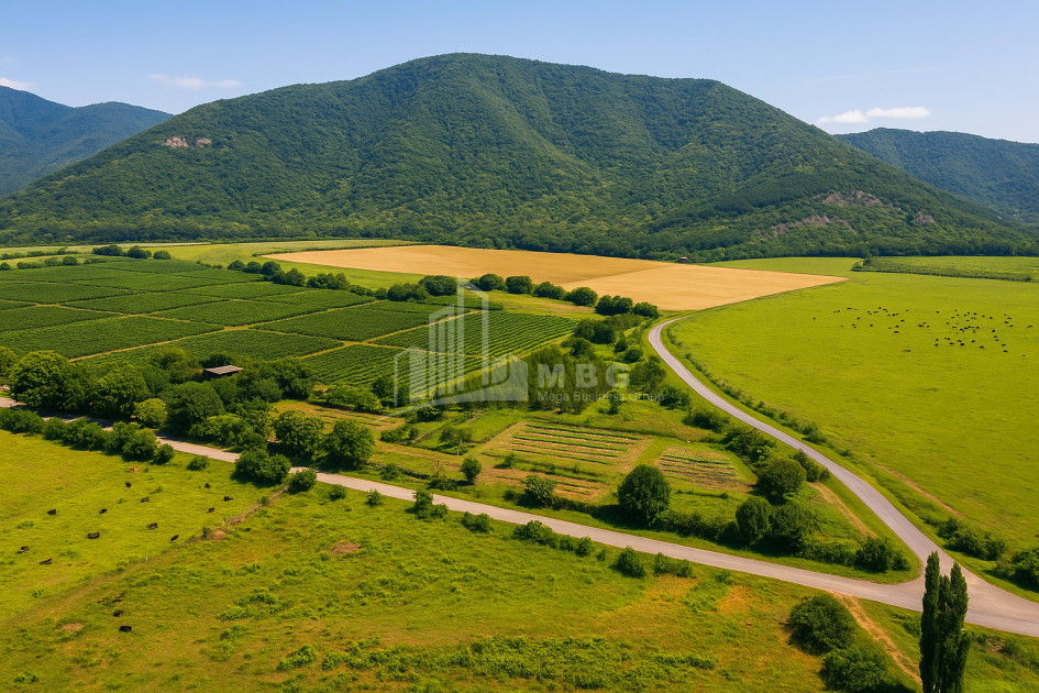 For Sale Land Kvareli Kakheti