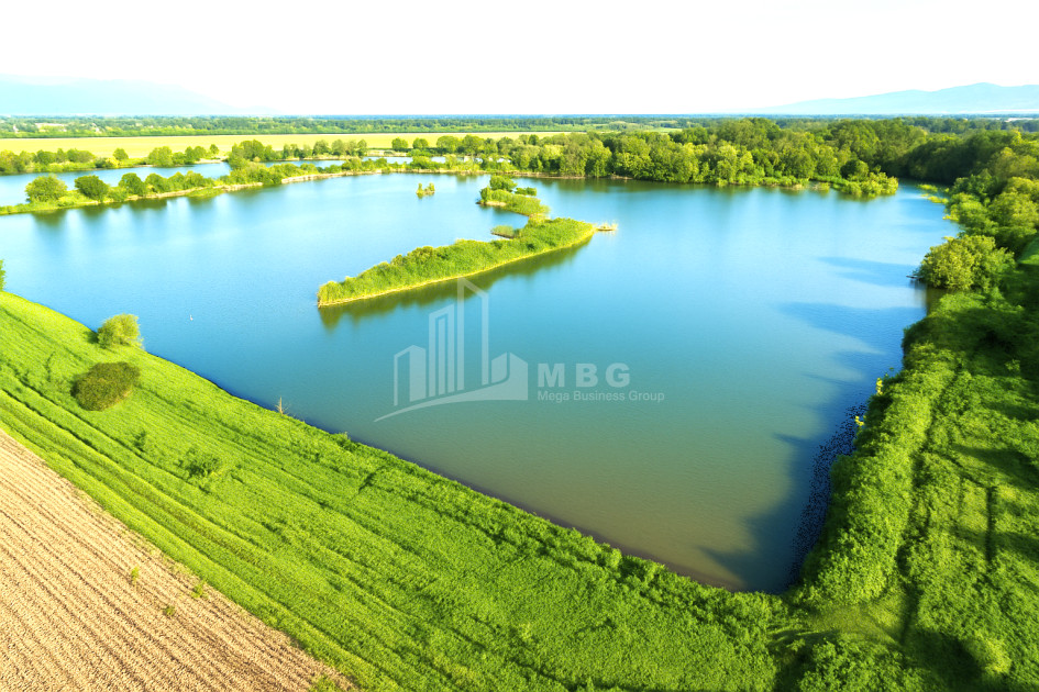 For Sale Land Kvemo Alvani Akhmeta Kakheti