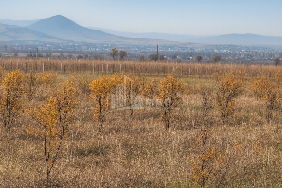 იყიდება მიწის ნაკვეთი სოფელი შაუმიანი მარნეული ქვემო ქართლი