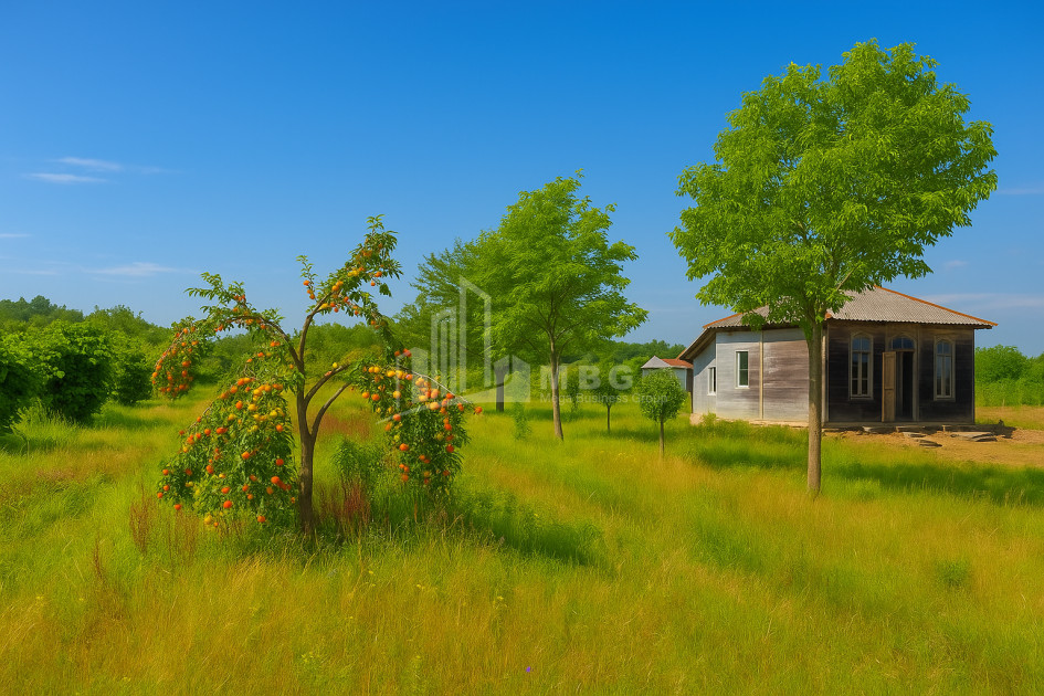 For Sale Land Kvemo Shukhuti Lanchkhuti Municipalities of Guria