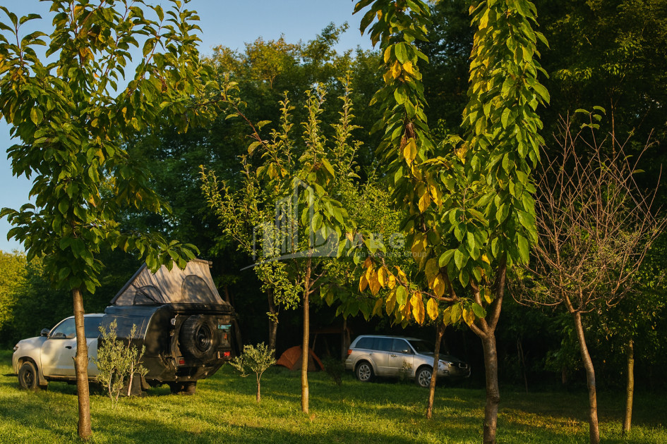 იყიდება ბიზნესი კომერციული ფართი თელავი კახეთი