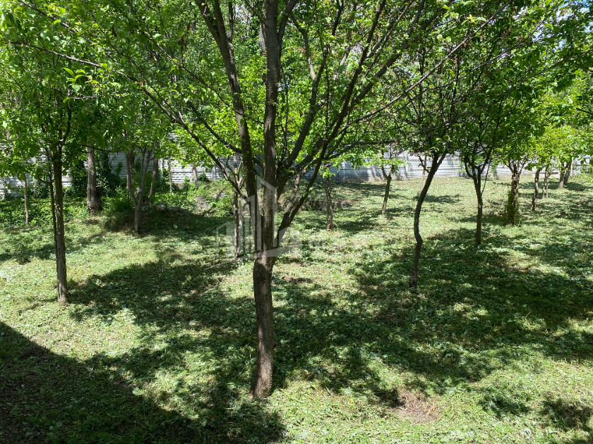 იყიდება ბიზნესი კომერციული ფართი თელავი კახეთი