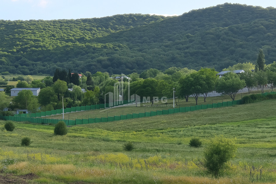 For Sale Commercial Bazaleti Dusheti Mtskheta   Mtianeti