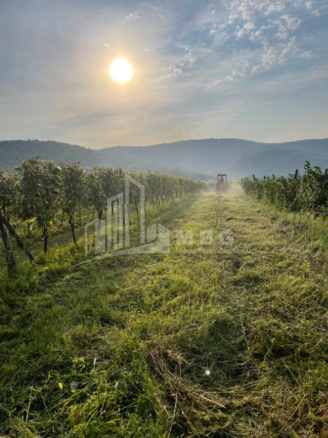 For Sale Land Mtisdziri Kvareli Kakheti