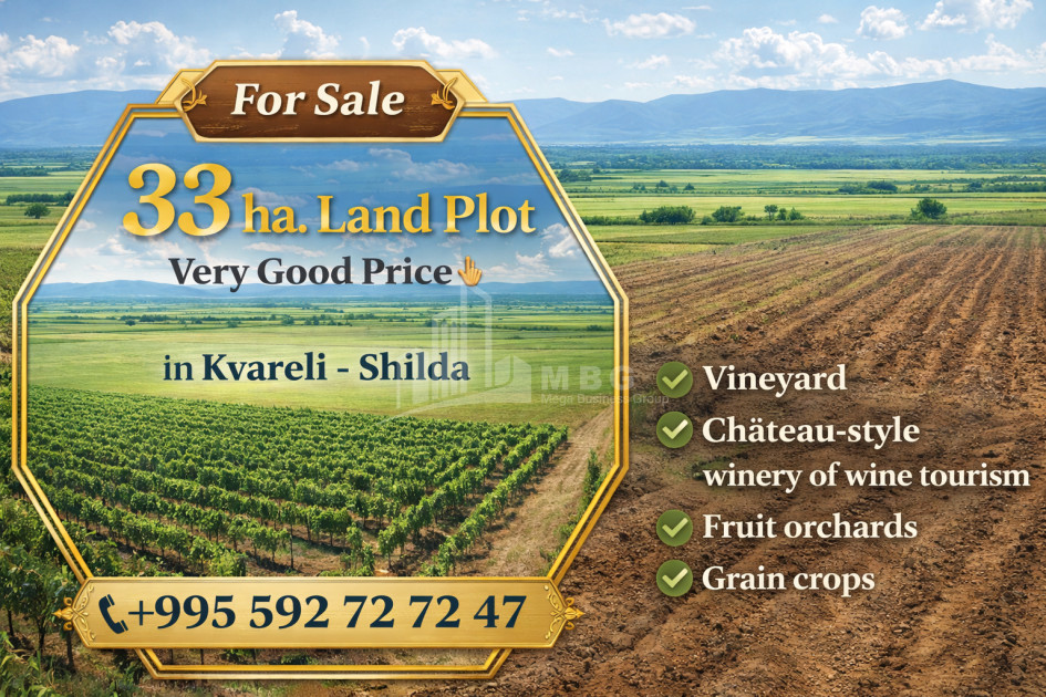 For Sale Land, Kvareli, Kakheti