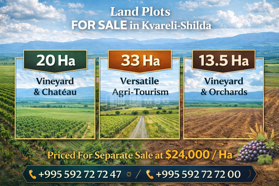 იყიდება მიწის ნაკვეთი, ყვარელი, კახეთი