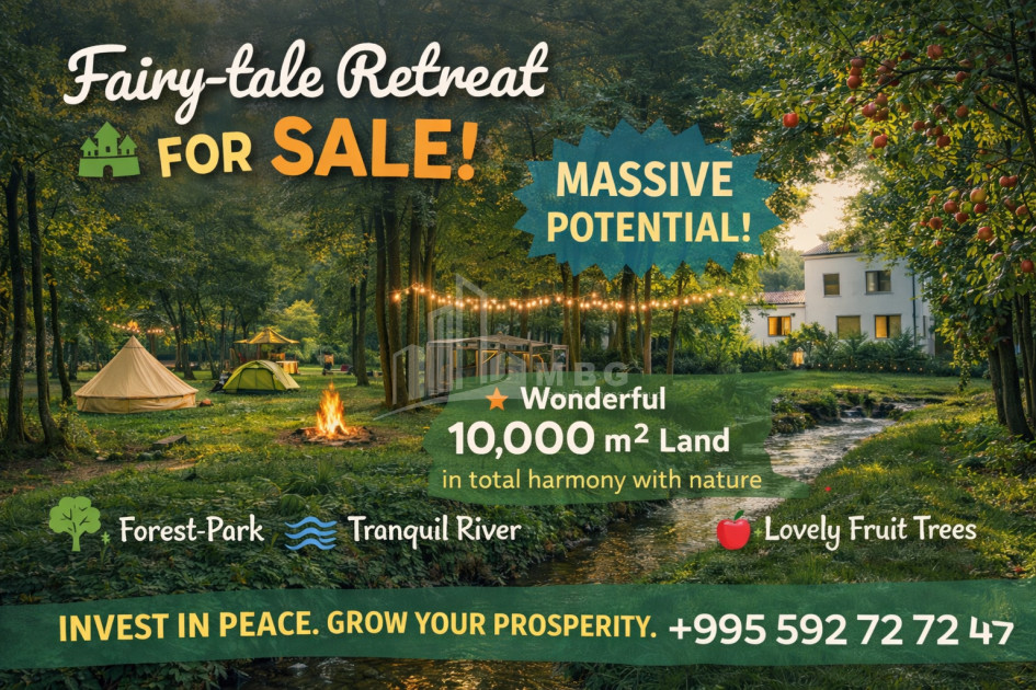 იყიდება ბიზნესი განიხილება ინვესტიცია კომერციული ფართი თელავი კახეთი