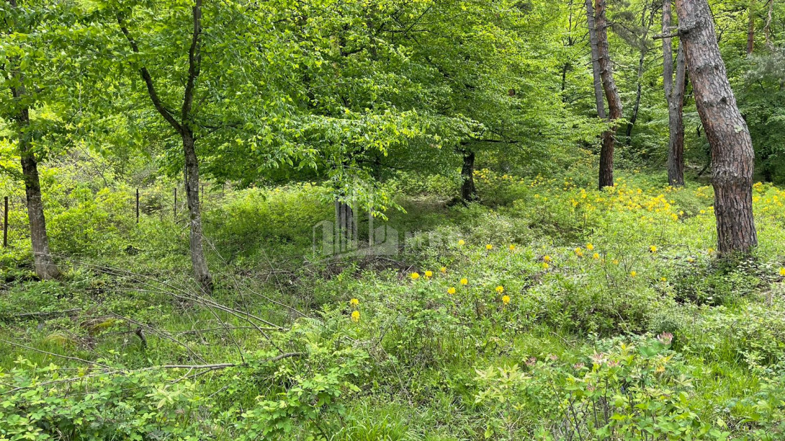 იყიდება სააგარაკე მიწის ნაკვეთი, ონი