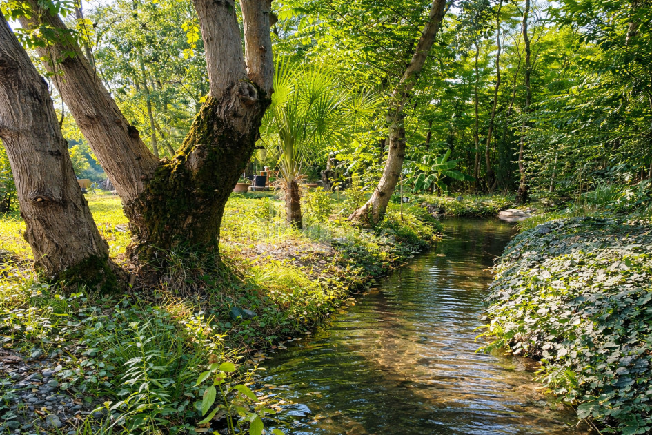 Business for sale Commercial Telavi Kakheti