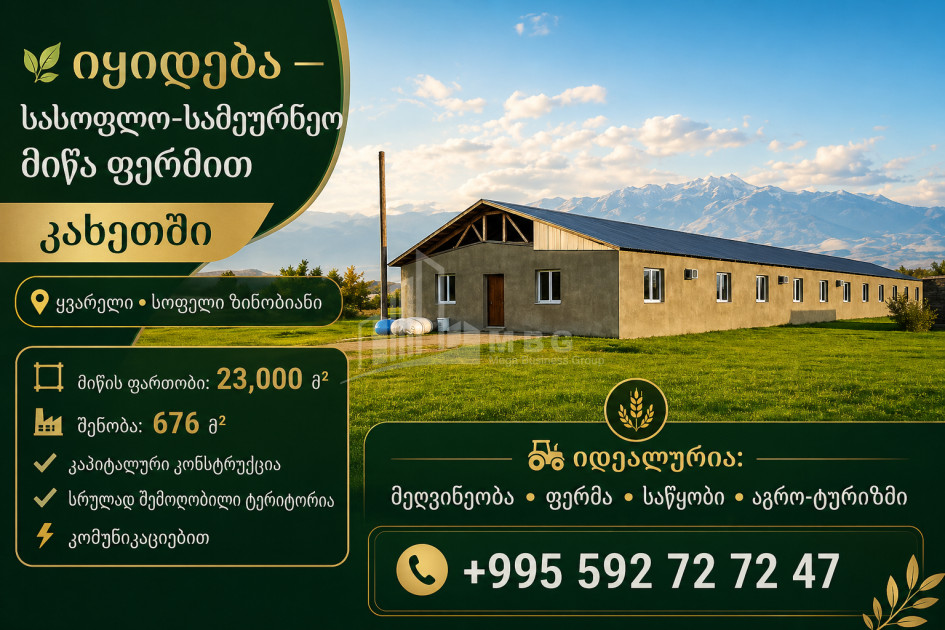 იყიდება საძოვრები - საფერმერო მიწის ნაკვეთი ზინობიანში, ყვარელი