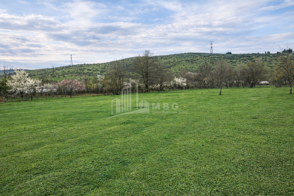 For Sale Old building House - Villa In Dzalisi, Mtskheta