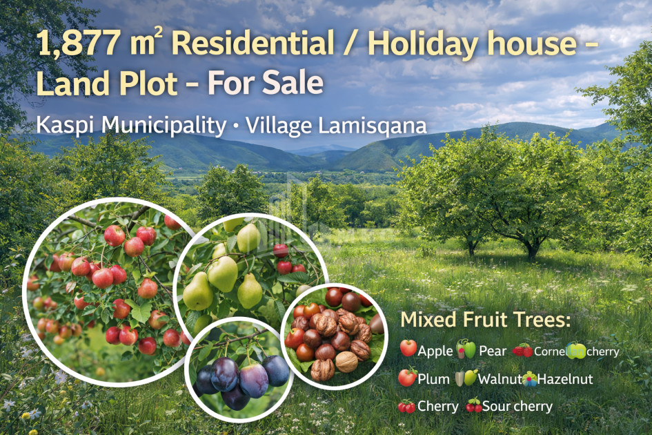 For Sale Country Land In Lamiskana, Kaspi