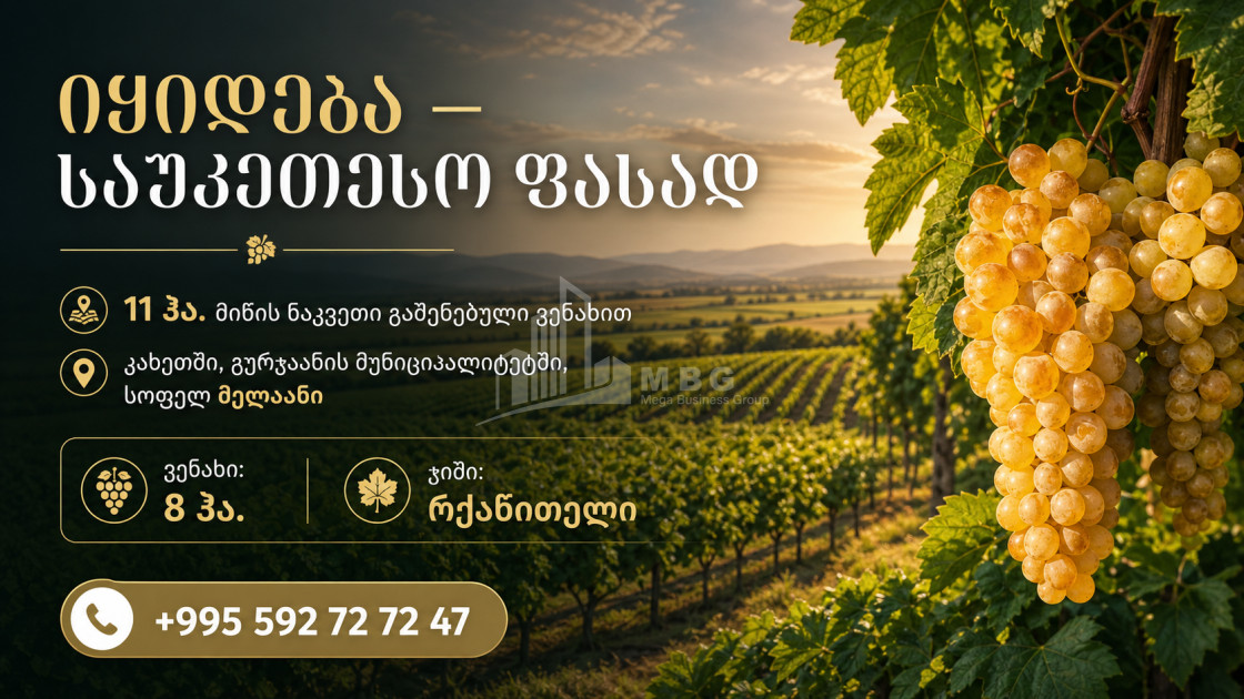 For Sale Vineyard - Chateau Land In Melani, Gurjaani