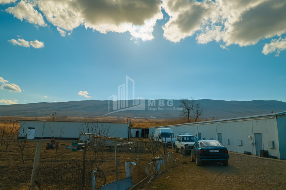 For Sale Commercial Okami Kaspi Shida Kartli