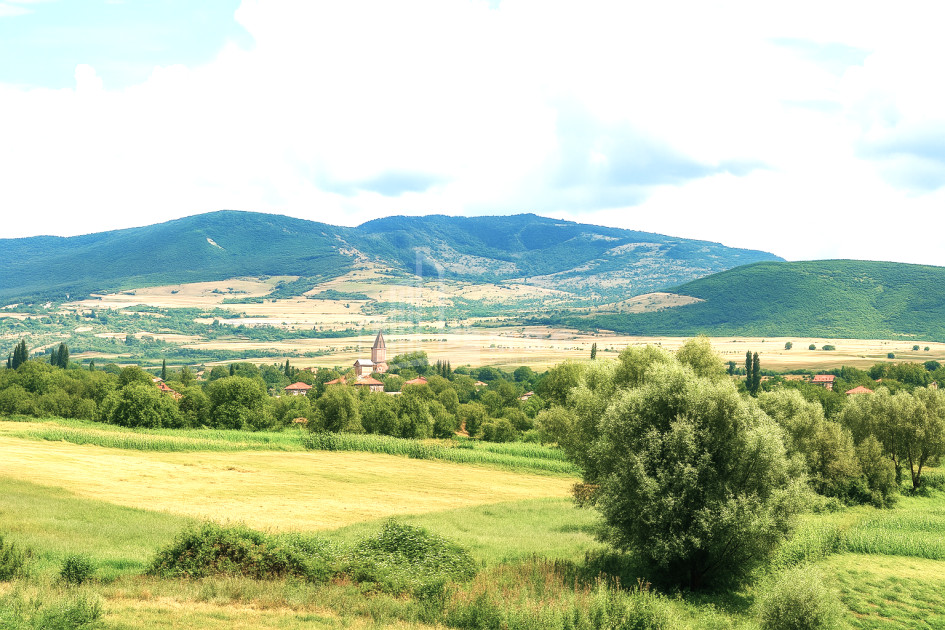 For Sale Land Igoeti Kaspi Shida Kartli