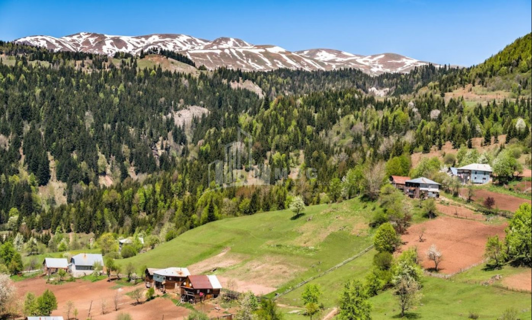 For Sale Country Land, in Khulo