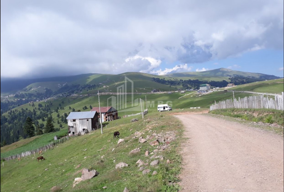 For Sale Country Land, in Khulo