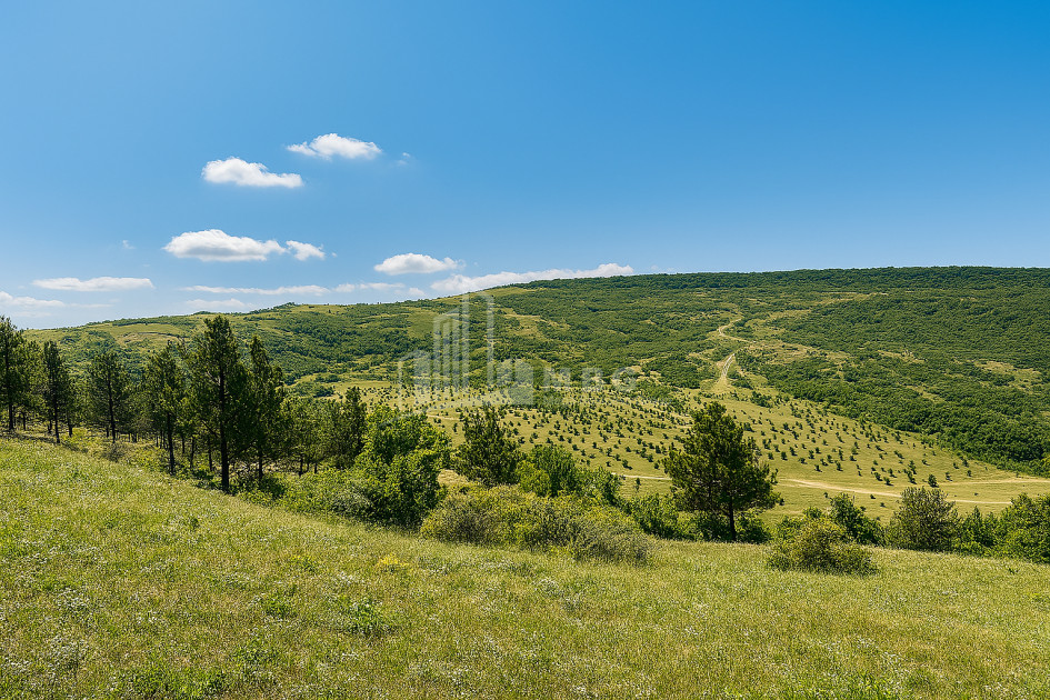 For Sale Land Koshigora Steet Dighmis Chala Saburtalo District Tbilisi