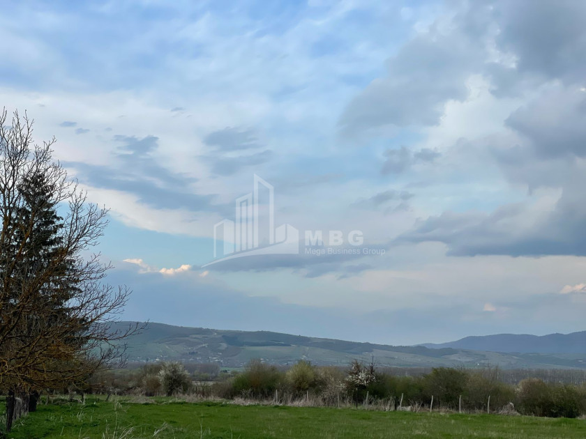 იყიდება მიწის ნაკვეთი ღულელები თიანეთი მცხეთა   მთიანეთი