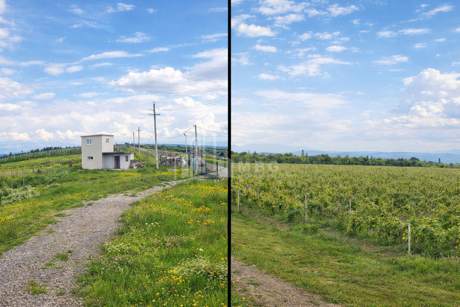 For Sale Vineyard - Chateau Land In Gori
