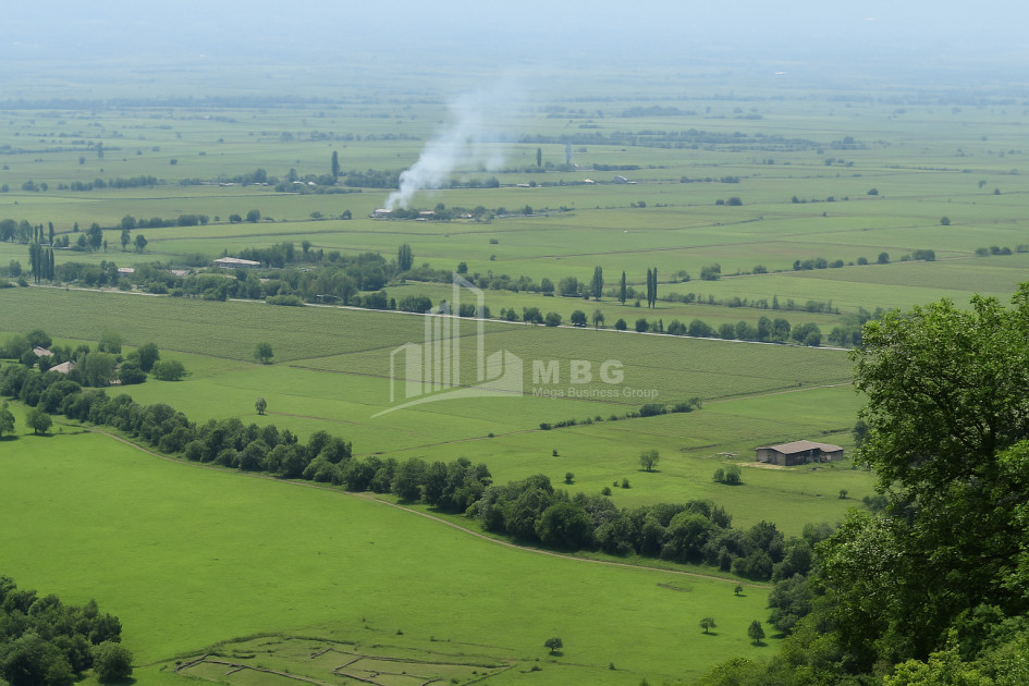 For Sale Land Kvareli Kakheti
