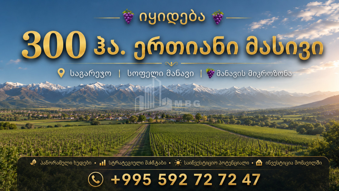 For Sale Vineyard - Chateau Land In Manavi, Sagarejo