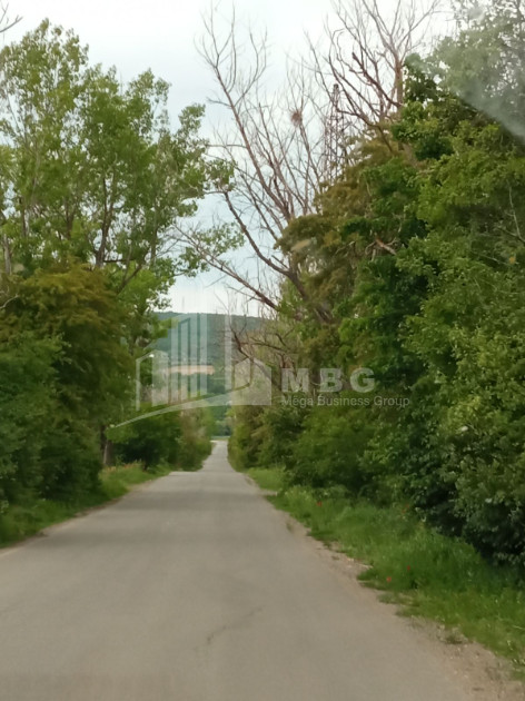 For Sale Country Land, in Bazaleti