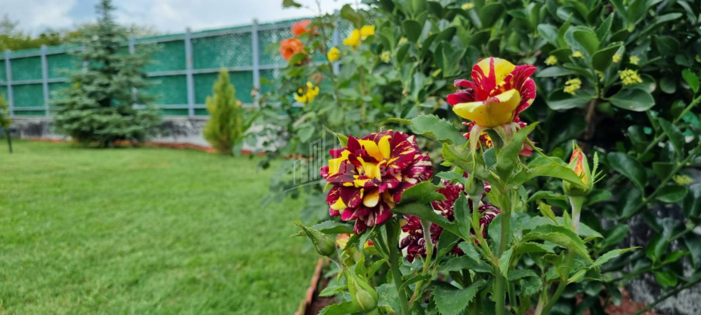 Продается Дом - Вилла В Коджори, Мтацминда Район