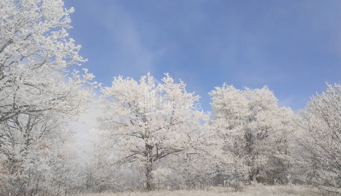 For Sale Land Zemo Gostibe Kaspi Shida Kartli