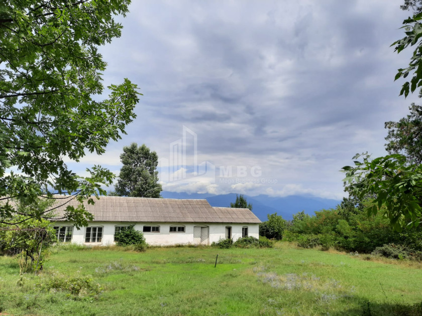 იყიდება კომერციული ფართი თელავი კახეთი