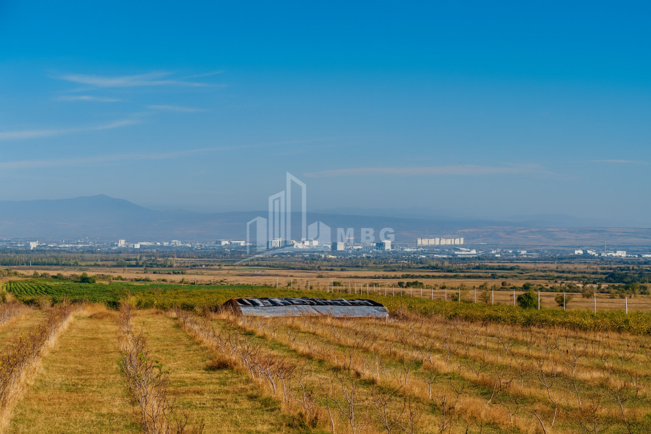 იყიდება მიწის ნაკვეთი სოფელი შაუმიანი მარნეული ქვემო ქართლი